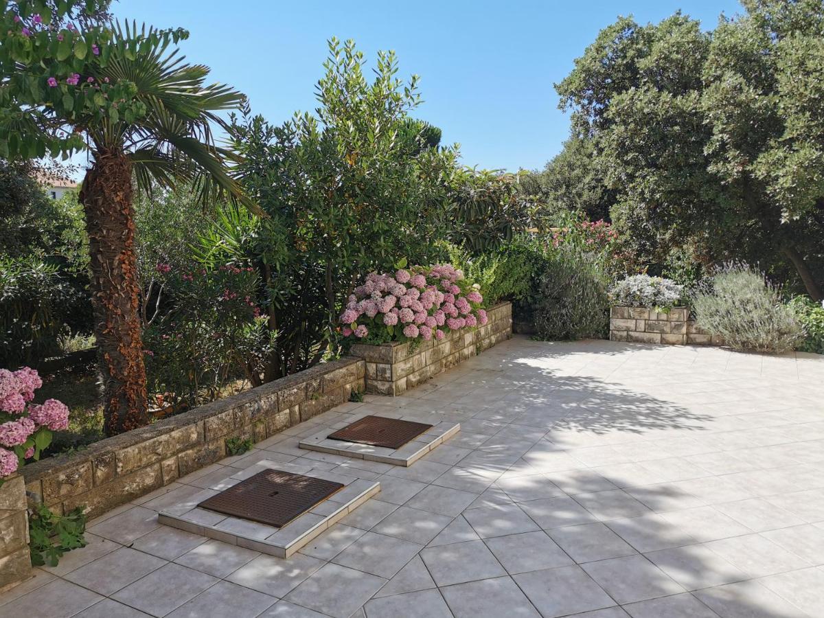 נובליה Lenka Apartments I מראה חיצוני תמונה