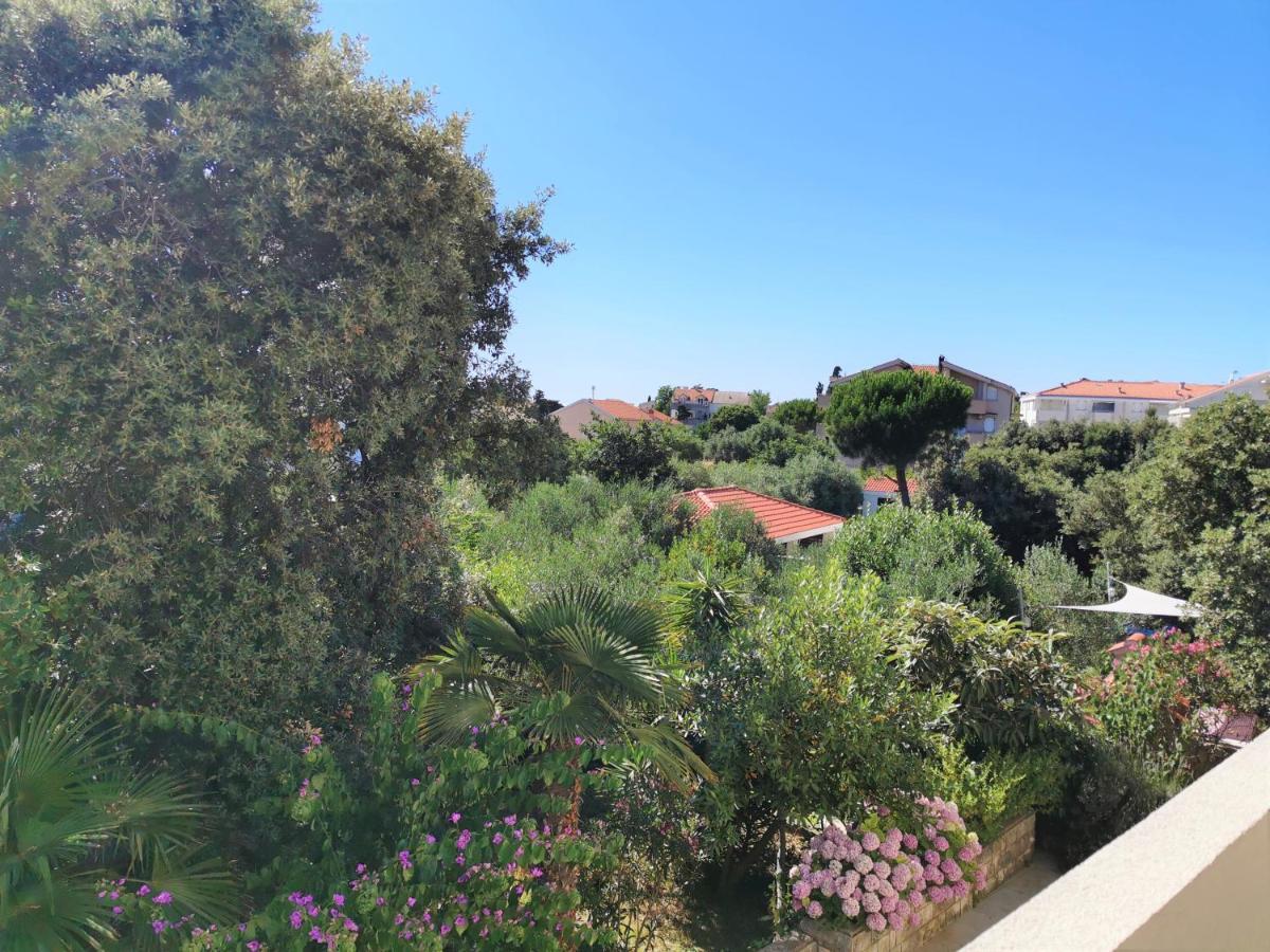 נובליה Lenka Apartments I מראה חיצוני תמונה