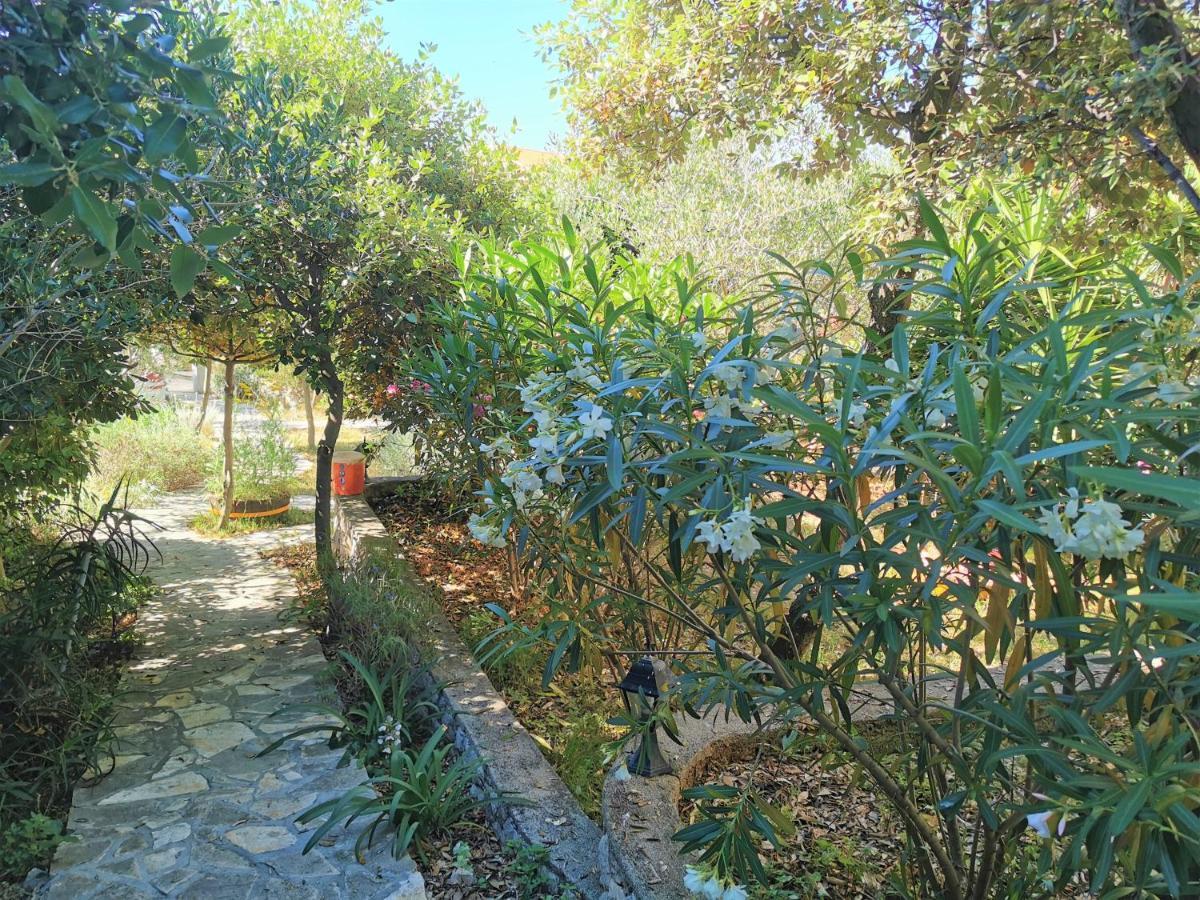 נובליה Lenka Apartments I מראה חיצוני תמונה